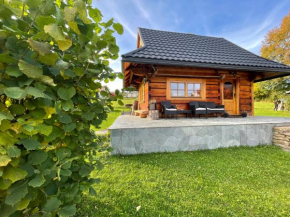 Domek Wałacha, Istebna